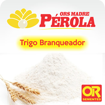 Ors-madreperola-branqueador_(1)